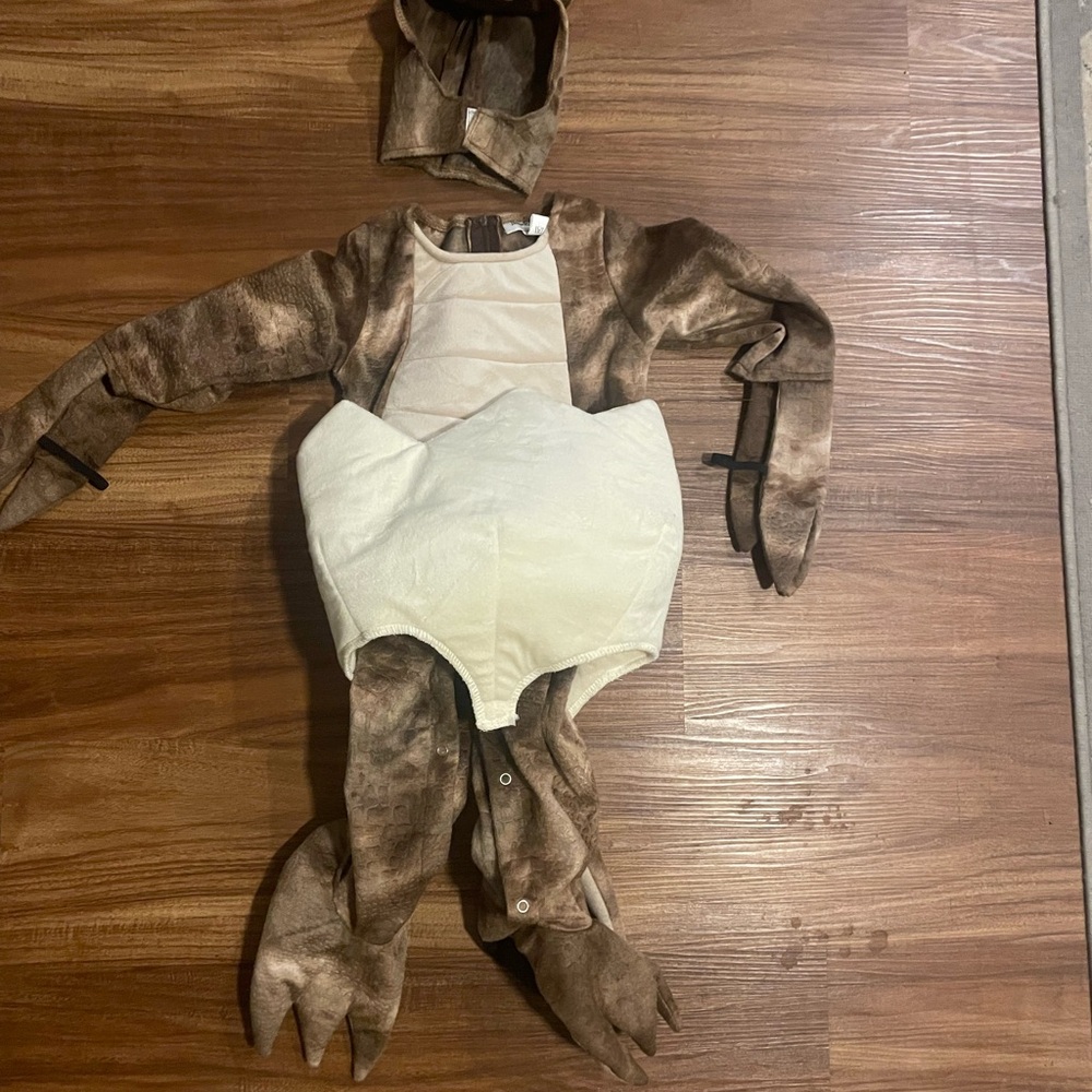 Toddler Tiny Triceratops 2T Halloween Costume - Picture 7 of 7